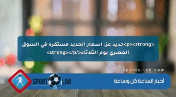 <p><strong>حديد عز: أسعار الحديد مستقرة في السوق المصري يوم الثلاثاء</strong></p>